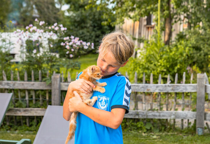 Tierische Erlebnisse Huberhof Tittmoning