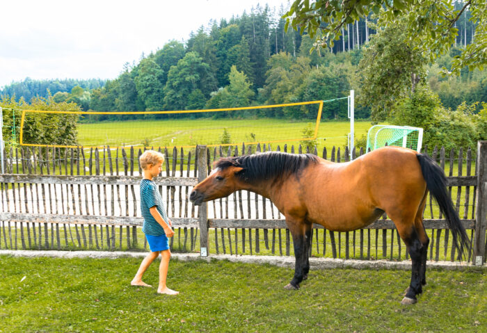 Bildergalarie Kinderwelt Pferd Huberhof Tittmoning